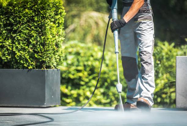 Best Roof Washing  in , KS